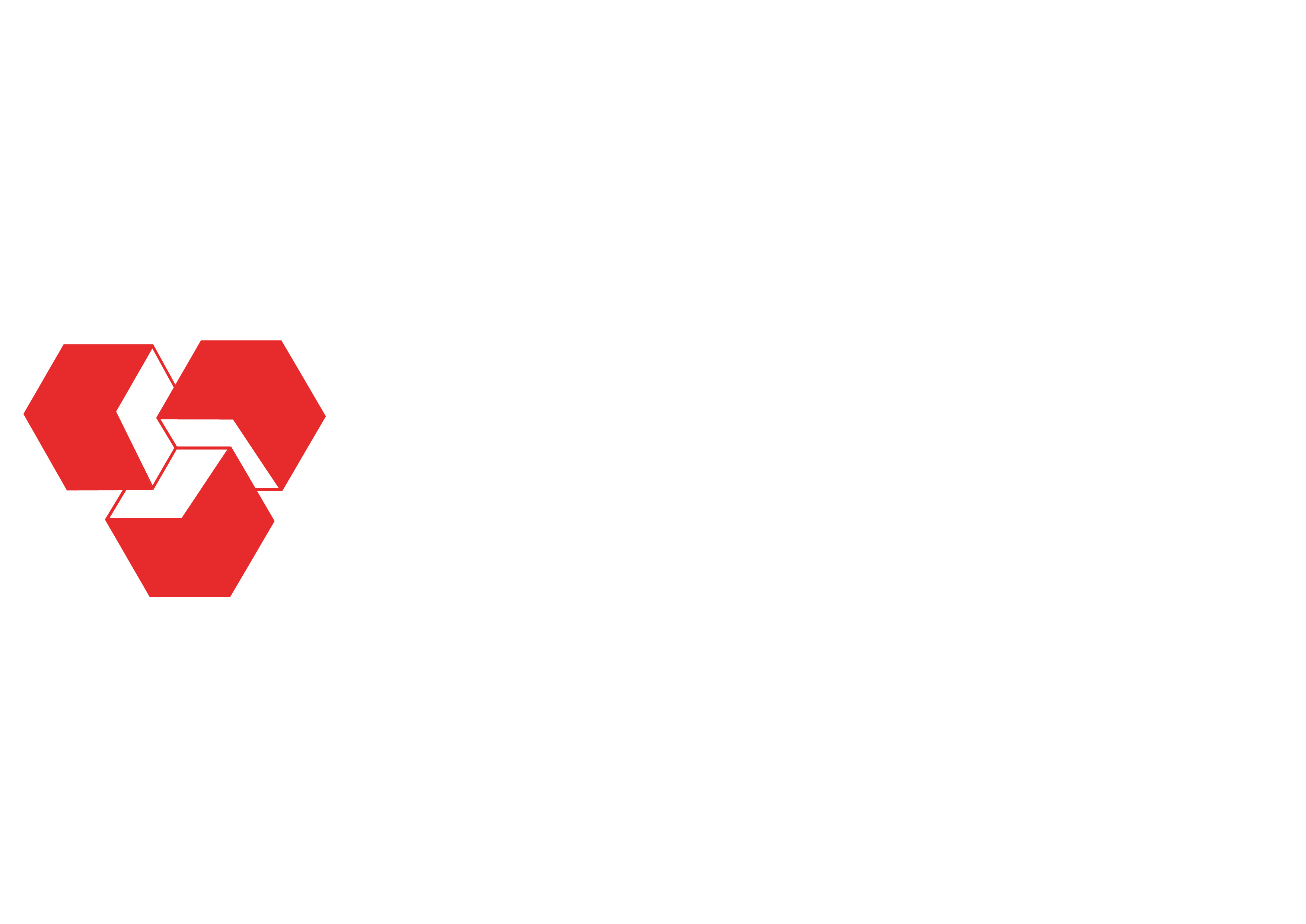 SE-TechConcept Logo